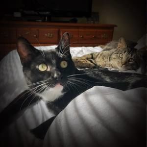 Meet your Posher, Cassidy